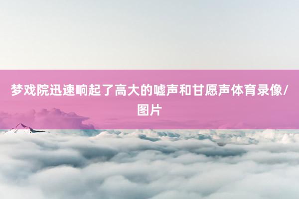 梦戏院迅速响起了高大的嘘声和甘愿声体育录像/图片
