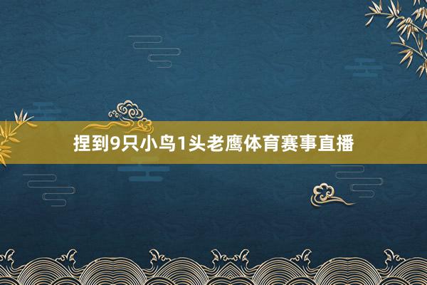 捏到9只小鸟1头老鹰体育赛事直播