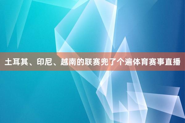 土耳其、印尼、越南的联赛兜了个遍体育赛事直播