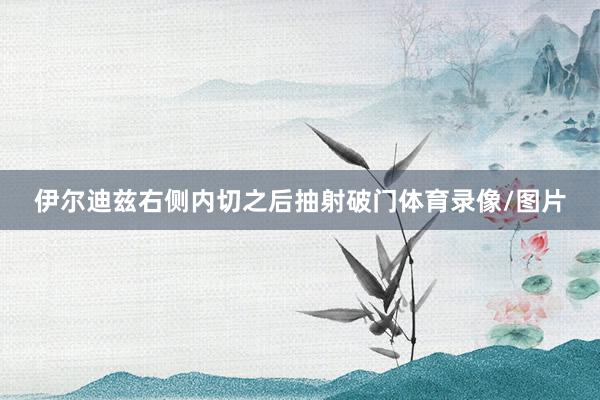 伊尔迪兹右侧内切之后抽射破门体育录像/图片