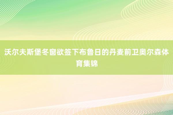 沃尔夫斯堡冬窗欲签下布鲁日的丹麦前卫奥尔森体育集锦