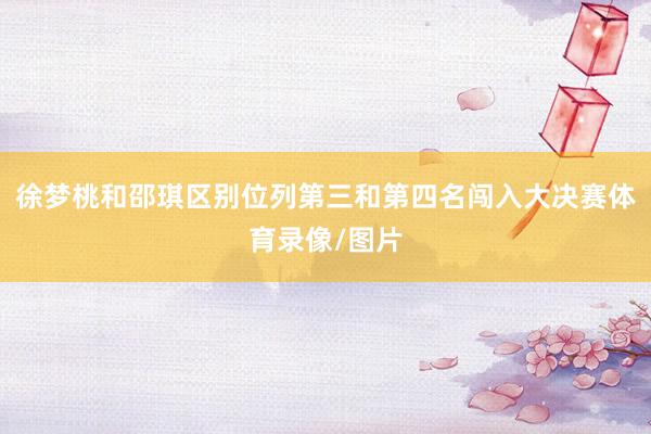 徐梦桃和邵琪区别位列第三和第四名闯入大决赛体育录像/图片