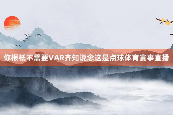 你根柢不需要VAR齐知说念这是点球体育赛事直播
