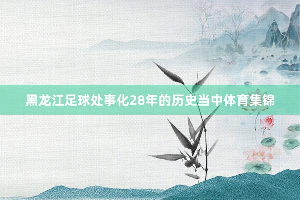 黑龙江足球处事化28年的历史当中体育集锦