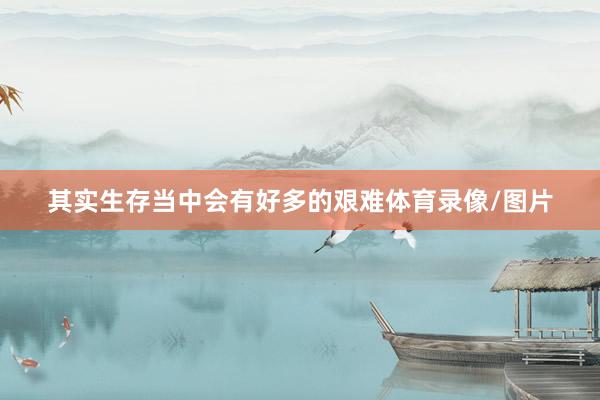 其实生存当中会有好多的艰难体育录像/图片