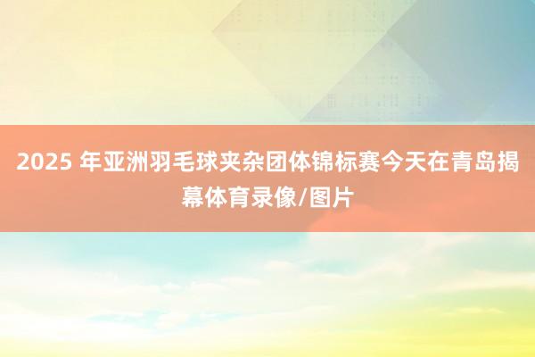 2025 年亚洲羽毛球夹杂团体锦标赛今天在青岛揭幕体育录像/图片