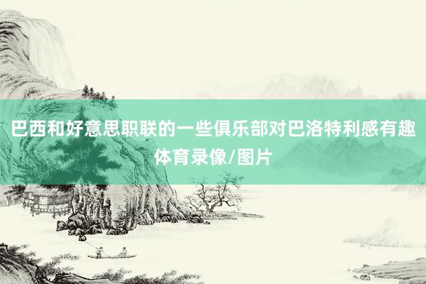 巴西和好意思职联的一些俱乐部对巴洛特利感有趣体育录像/图片