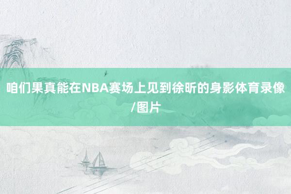 咱们果真能在NBA赛场上见到徐昕的身影体育录像/图片