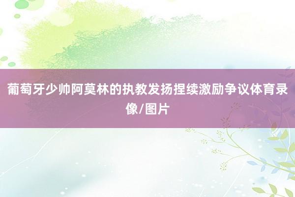 葡萄牙少帅阿莫林的执教发扬捏续激励争议体育录像/图片