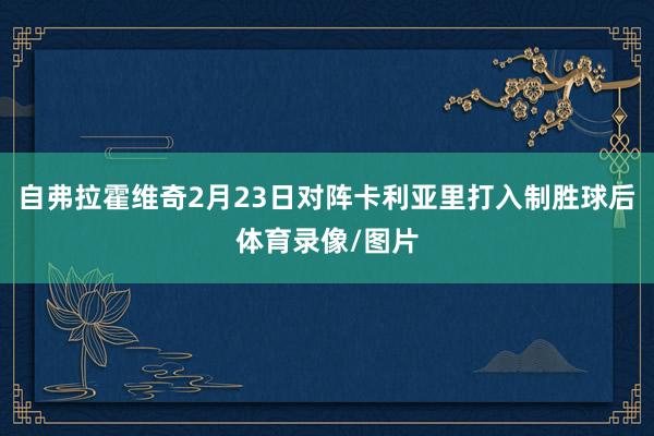 自弗拉霍维奇2月23日对阵卡利亚里打入制胜球后体育录像/图片