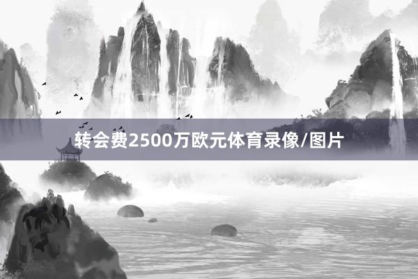 转会费2500万欧元体育录像/图片