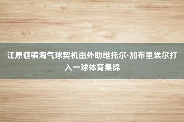 江原诓骗淘气球契机由外助维托尔·加布里埃尔打入一球体育集锦
