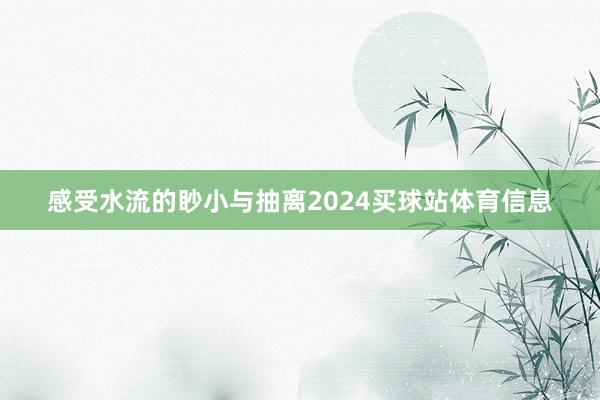 感受水流的眇小与抽离2024买球站体育信息