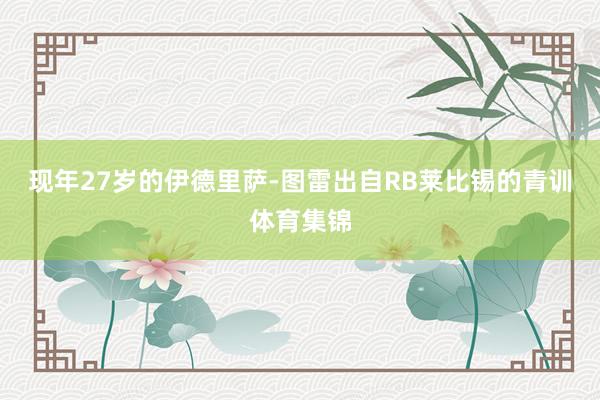 现年27岁的伊德里萨-图雷出自RB莱比锡的青训体育集锦