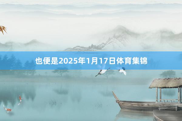 也便是2025年1月17日体育集锦