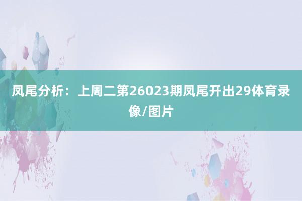 凤尾分析：上周二第26023期凤尾开出29体育录像/图片