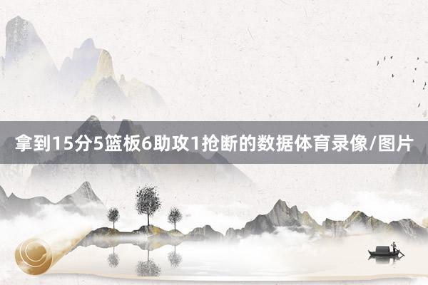 拿到15分5篮板6助攻1抢断的数据体育录像/图片