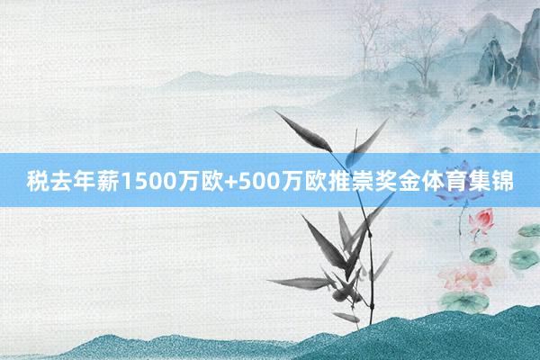 税去年薪1500万欧+500万欧推崇奖金体育集锦
