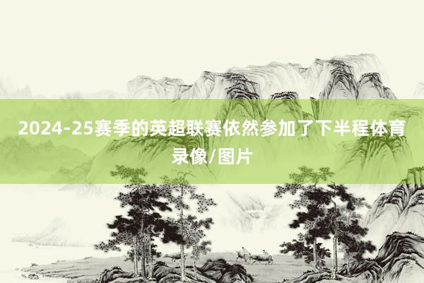 2024-25赛季的英超联赛依然参加了下半程体育录像/图片