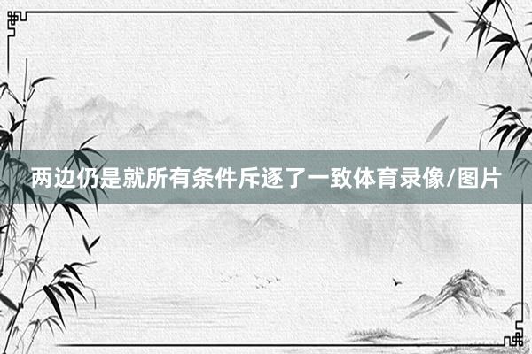 两边仍是就所有条件斥逐了一致体育录像/图片