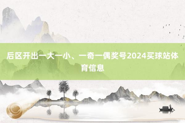 后区开出一大一小、一奇一偶奖号2024买球站体育信息