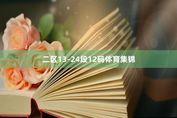 二区13-24段12码体育集锦
