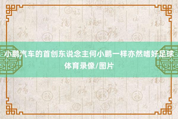 小鹏汽车的首创东说念主何小鹏一样亦然嗜好足球体育录像/图片