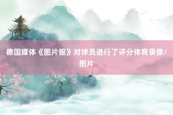 德国媒体《图片报》对球员进行了评分体育录像/图片