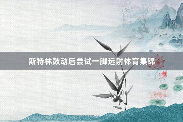 斯特林鼓动后尝试一脚远射体育集锦