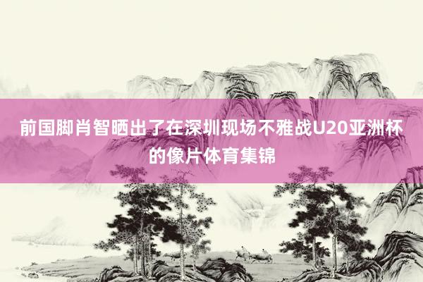 前国脚肖智晒出了在深圳现场不雅战U20亚洲杯的像片体育集锦