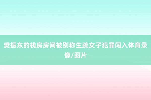樊振东的栈房房间被别称生疏女子犯罪闯入体育录像/图片