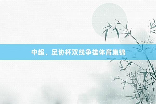 中超、足协杯双线争雄体育集锦