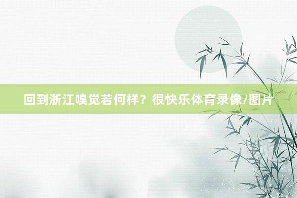 回到浙江嗅觉若何样？很快乐体育录像/图片