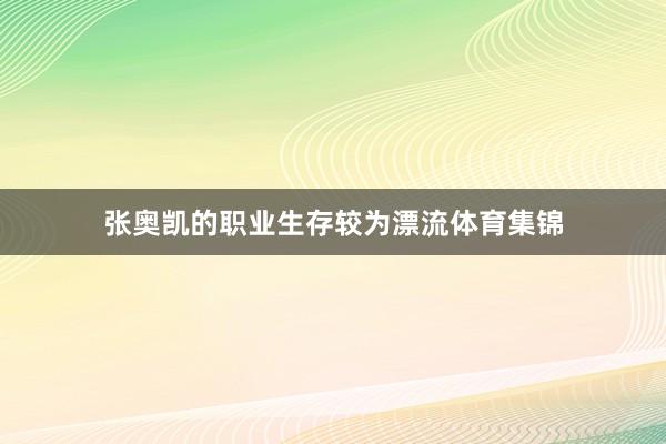 张奥凯的职业生存较为漂流体育集锦