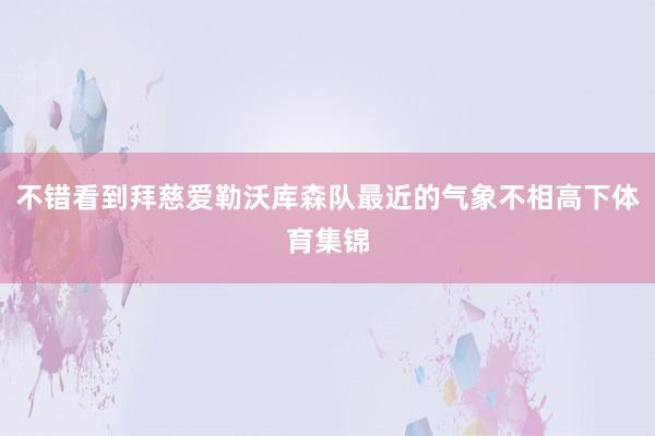 不错看到拜慈爱勒沃库森队最近的气象不相高下体育集锦
