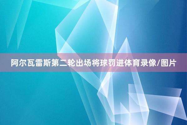 阿尔瓦雷斯第二轮出场将球罚进体育录像/图片