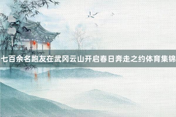七百余名跑友在武冈云山开启春日奔走之约体育集锦