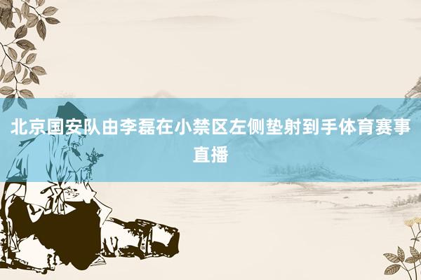 北京国安队由李磊在小禁区左侧垫射到手体育赛事直播