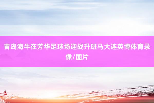 青岛海牛在芳华足球场迎战升班马大连英博体育录像/图片