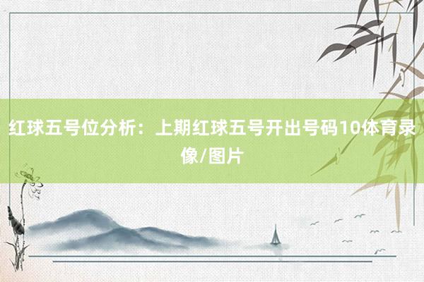 红球五号位分析:上期红球五号开出号码10体育录像/图片