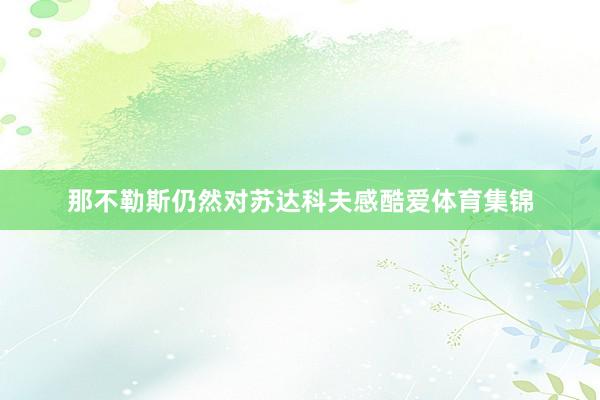 那不勒斯仍然对苏达科夫感酷爱体育集锦