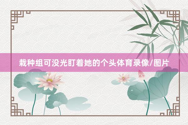 栽种组可没光盯着她的个头体育录像/图片