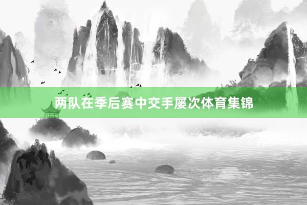 两队在季后赛中交手屡次体育集锦
