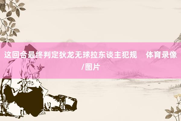 这回合最终判定狄龙无球拉东谈主犯规    体育录像/图片