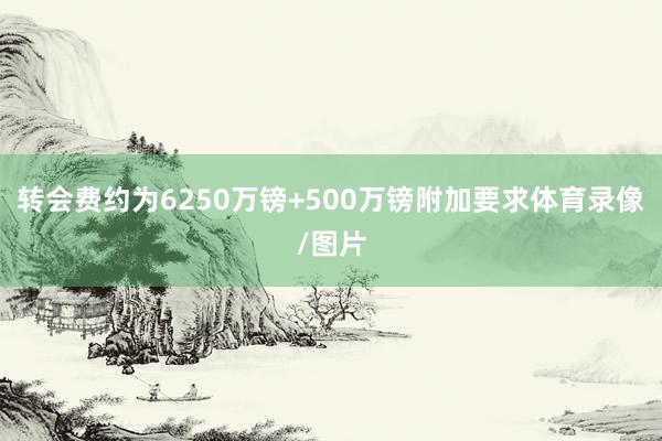 转会费约为6250万镑+500万镑附加要求体育录像/图片