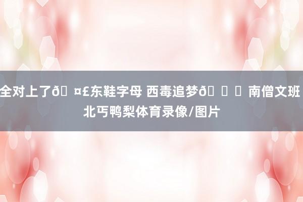 全对上了🤣东鞋字母 西毒追梦👄南僧文班 北丐鸭梨体育录像/图片
