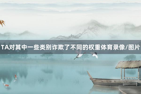 TA对其中一些类别诈欺了不同的权重体育录像/图片