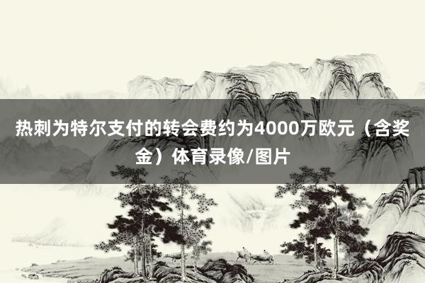 热刺为特尔支付的转会费约为4000万欧元（含奖金）体育录像/图片