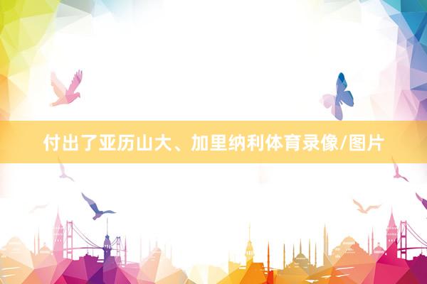 付出了亚历山大、加里纳利体育录像/图片