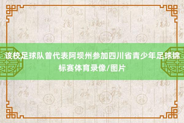 该校足球队曾代表阿坝州参加四川省青少年足球锦标赛体育录像/图片